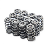 WSRD Terminator Valve Spring Kit | Can-Am X3 & Ski-Doo 900ACE