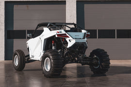 TMW DOMINATOR RZR PRO R 2 Seat Cage (fits PRO R 2 seat RZR models)