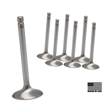 Load image into Gallery viewer, WSRD Intake &amp; Exhaust Valves | Can-Am X3