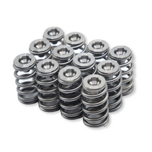 Load image into Gallery viewer, WSRD Terminator Valve Spring Kit | Can-Am X3 &amp; Ski-Doo 900ACE