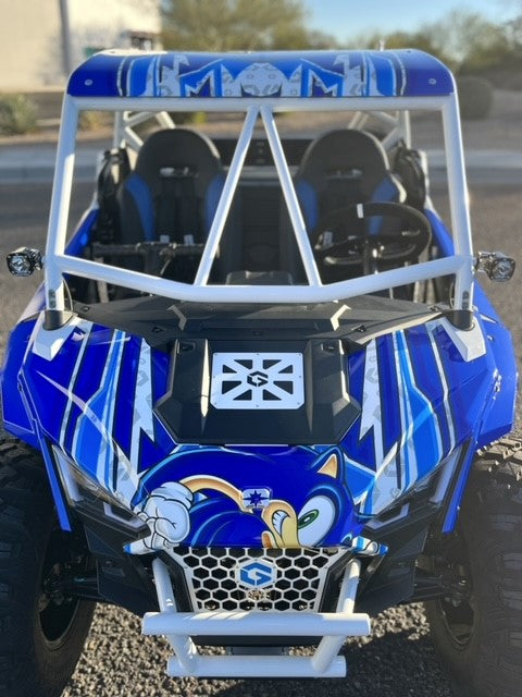 POLARIS RZR 200 CAGE